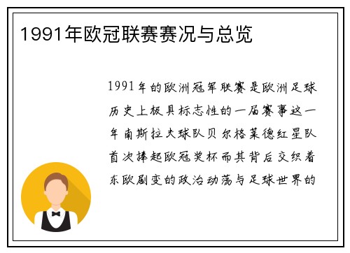 1991年欧冠联赛赛况与总览