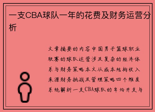 一支CBA球队一年的花费及财务运营分析