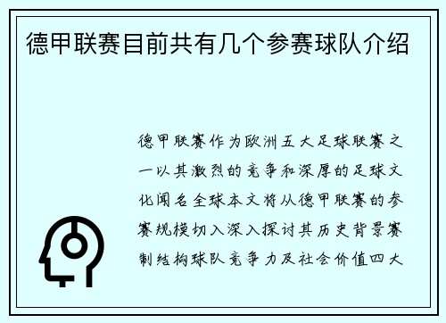 德甲联赛目前共有几个参赛球队介绍